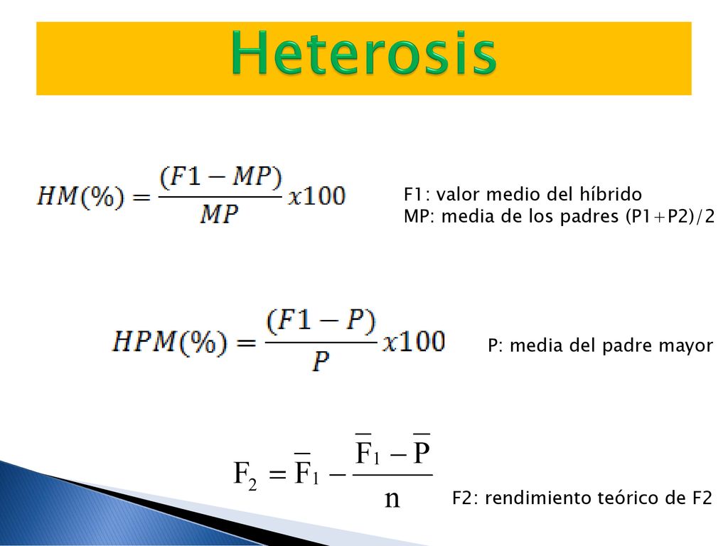 Heterosis F1: valor medio del híbrido MP: media de los padres (P1+P2)/2 P: media del padre mayor.