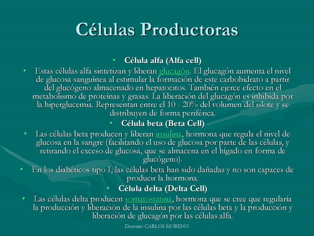 Células Productoras Célula alfa (Alfa cell)