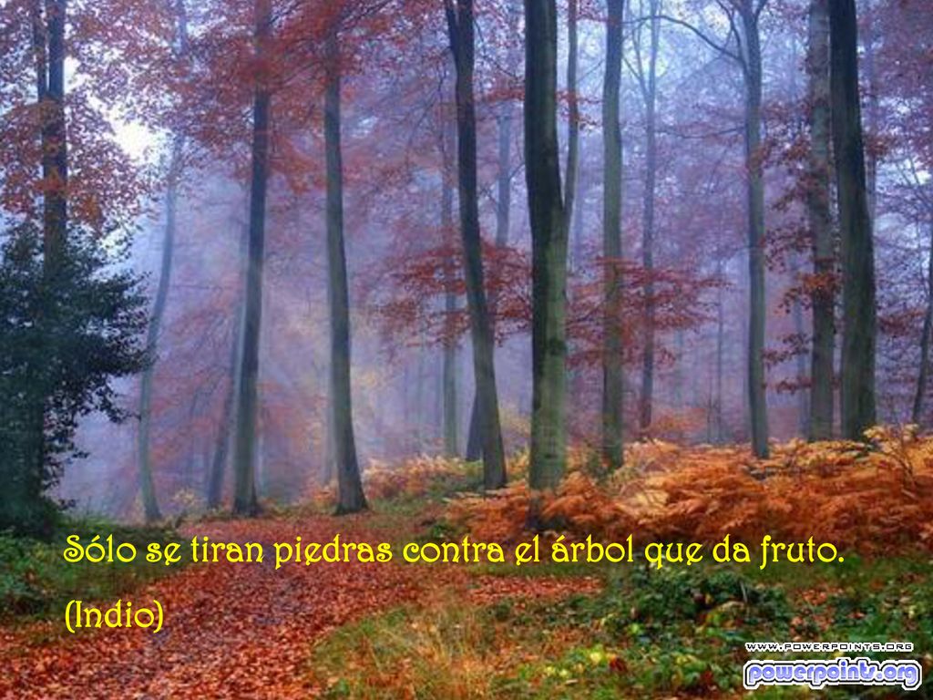 Sólo se tiran piedras contra el árbol que da fruto.