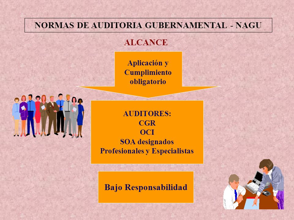 NORMAS DE AUDITORIA GUBERNAMENTAL - NAGU Profesionales y Especialistas