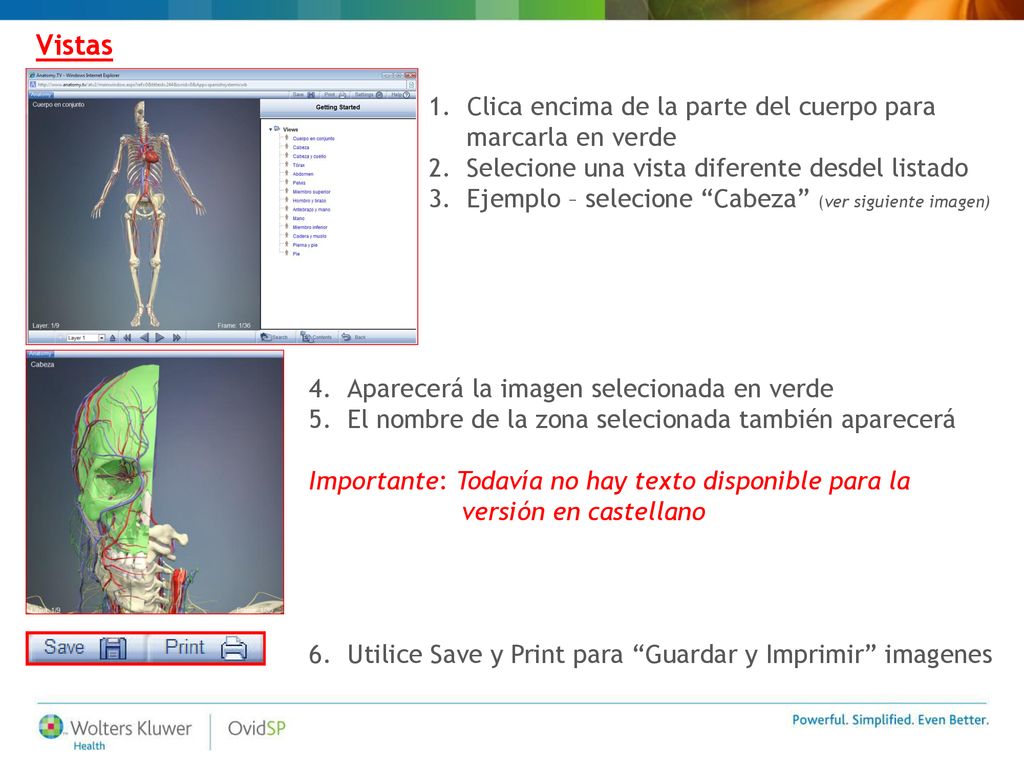 Vistas Clica encima de la parte del cuerpo para marcarla en verde