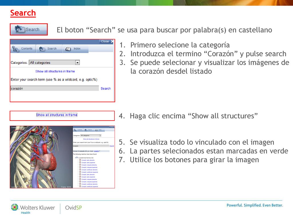 Search El boton Search se usa para buscar por palabra(s) en castellano. Primero selecione la categoría.