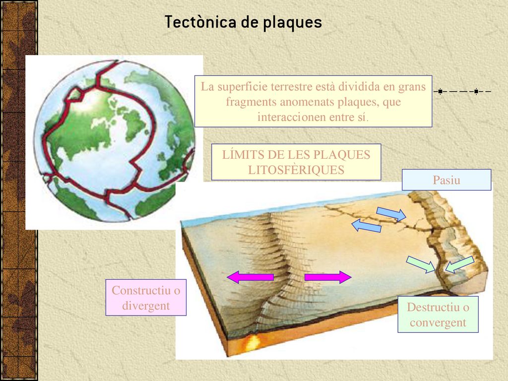 Tectònica de plaques La superficie terrestre està dividida en grans fragments anomenats plaques, que interaccionen entre sí.
