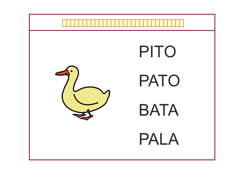 PITO PATO BATA PALA