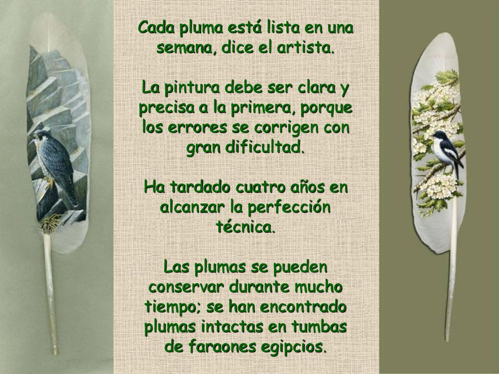 Cada pluma está lista en una semana, dice el artista.