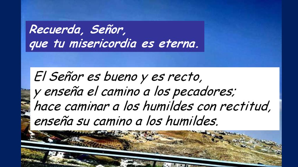 El Señor es bueno y es recto, y enseña el camino a los pecadores;