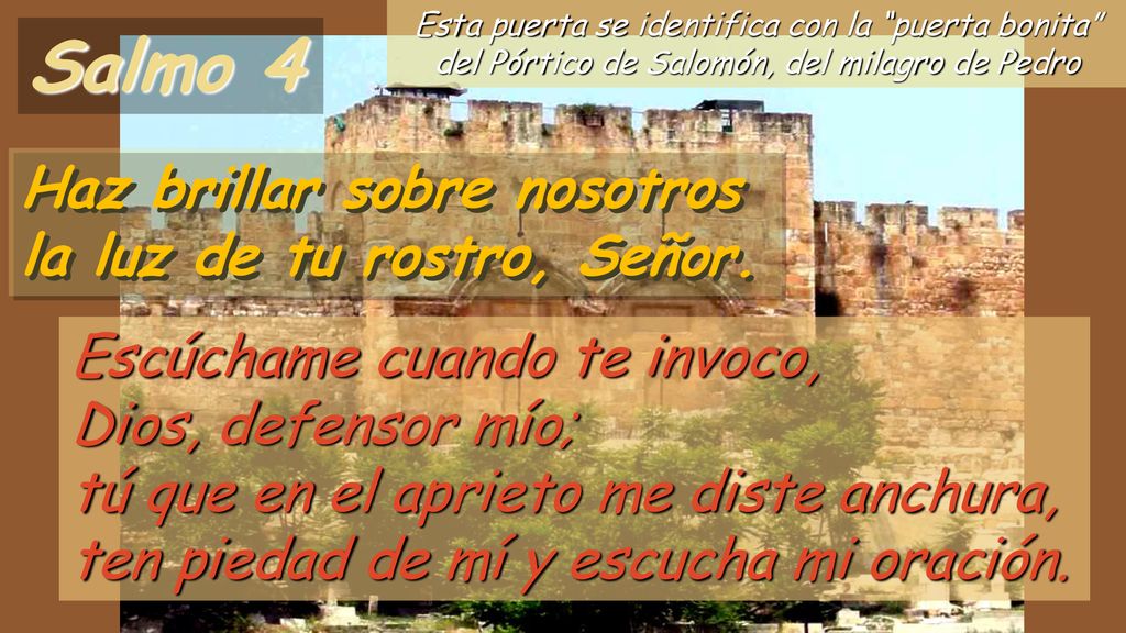 Salmo 4 Haz brillar sobre nosotros la luz de tu rostro, Señor.