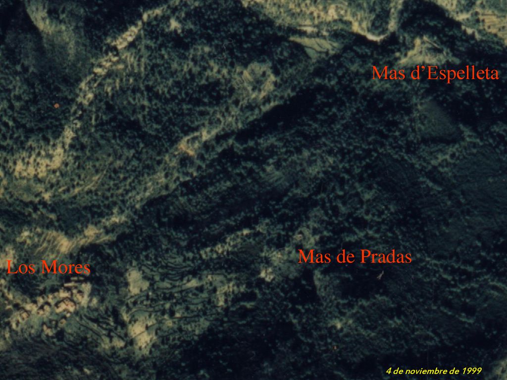 Mas d’Espelleta Mas de Pradas Los Mores 4 de noviembre de 1999