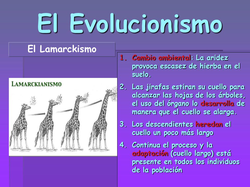 El Evolucionismo El Lamarckismo