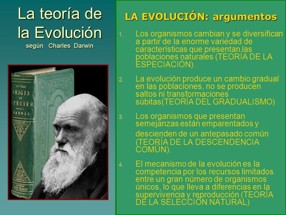 La teoría de la Evolución según Charles Darwin