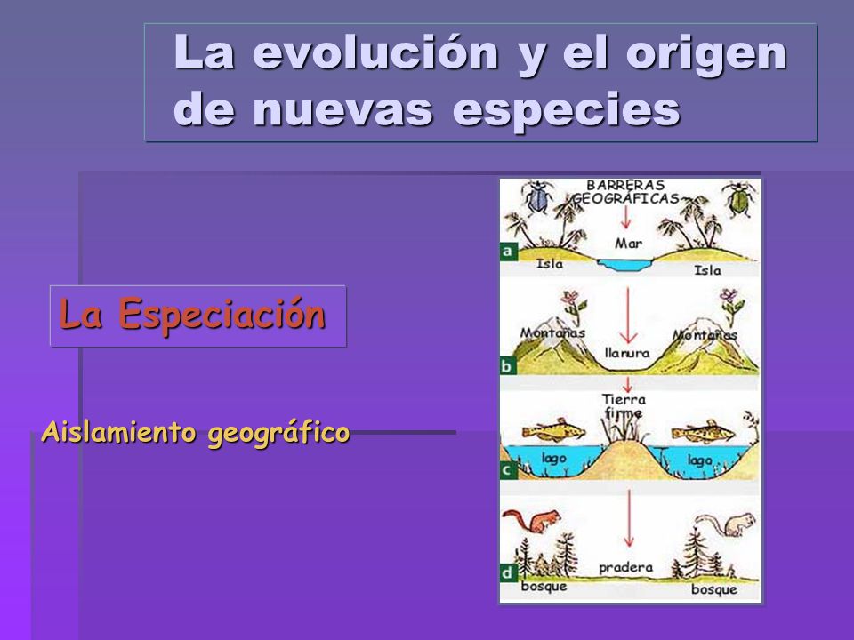 La evolución y el origen de nuevas especies