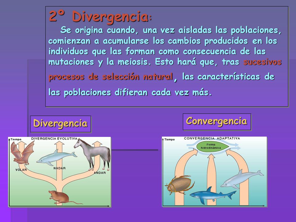 2º Divergencia: