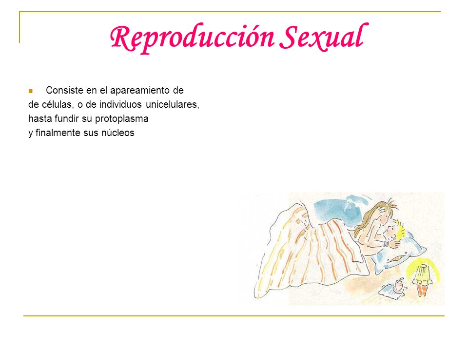Reproducción Sexual Consiste en el apareamiento de
