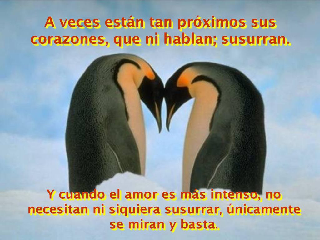 A veces están tan próximos sus corazones, que ni hablan; susurran.