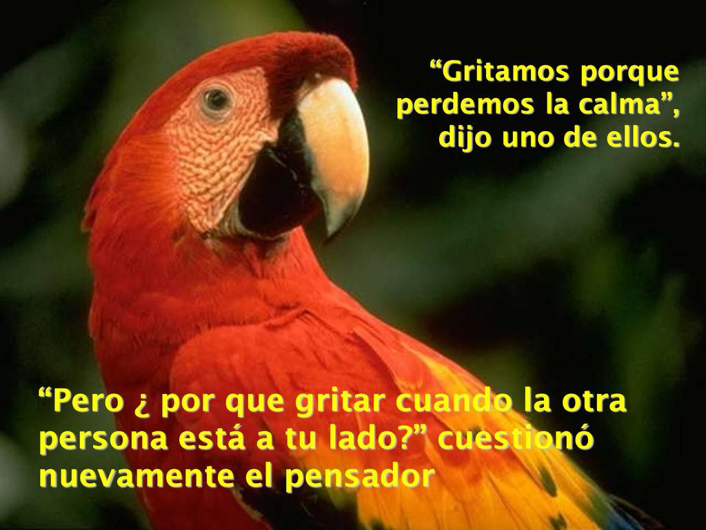 Gritamos porque perdemos la calma , dijo uno de ellos.