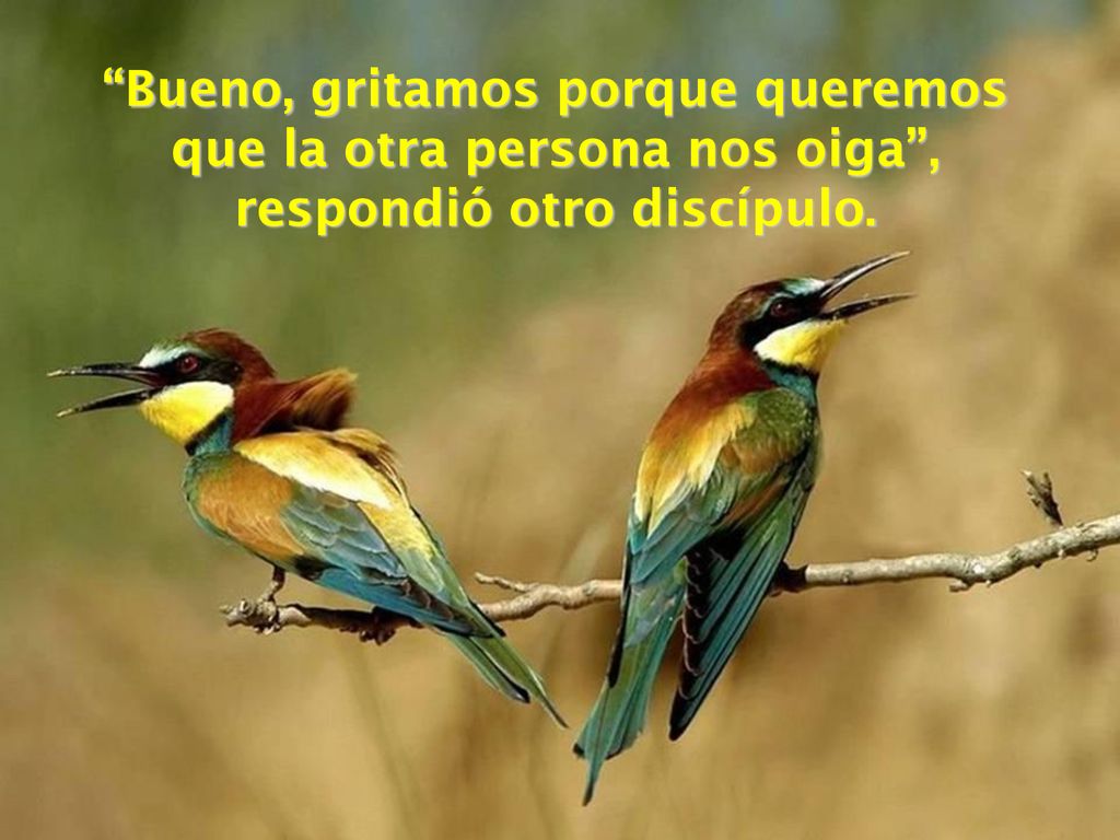 Bueno, gritamos porque queremos que la otra persona nos oiga , respondió otro discípulo.