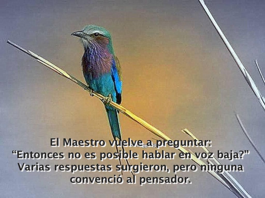 El Maestro vuelve a preguntar: Entonces no es posible hablar en voz baja Varias respuestas surgieron, pero ninguna convenció al pensador.