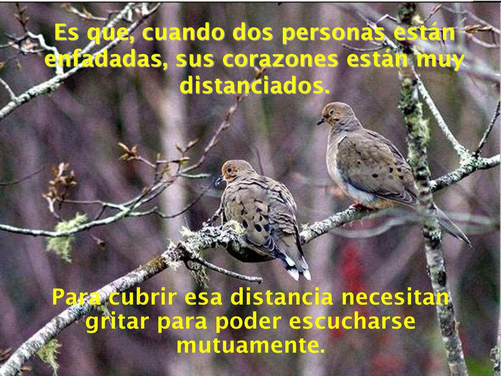 Es que, cuando dos personas están enfadadas, sus corazones están muy distanciados.