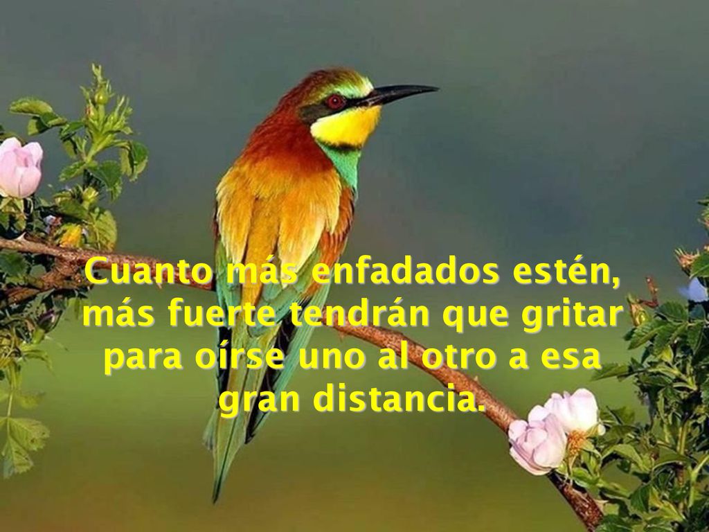 Cuanto más enfadados estén, más fuerte tendrán que gritar para oírse uno al otro a esa gran distancia.
