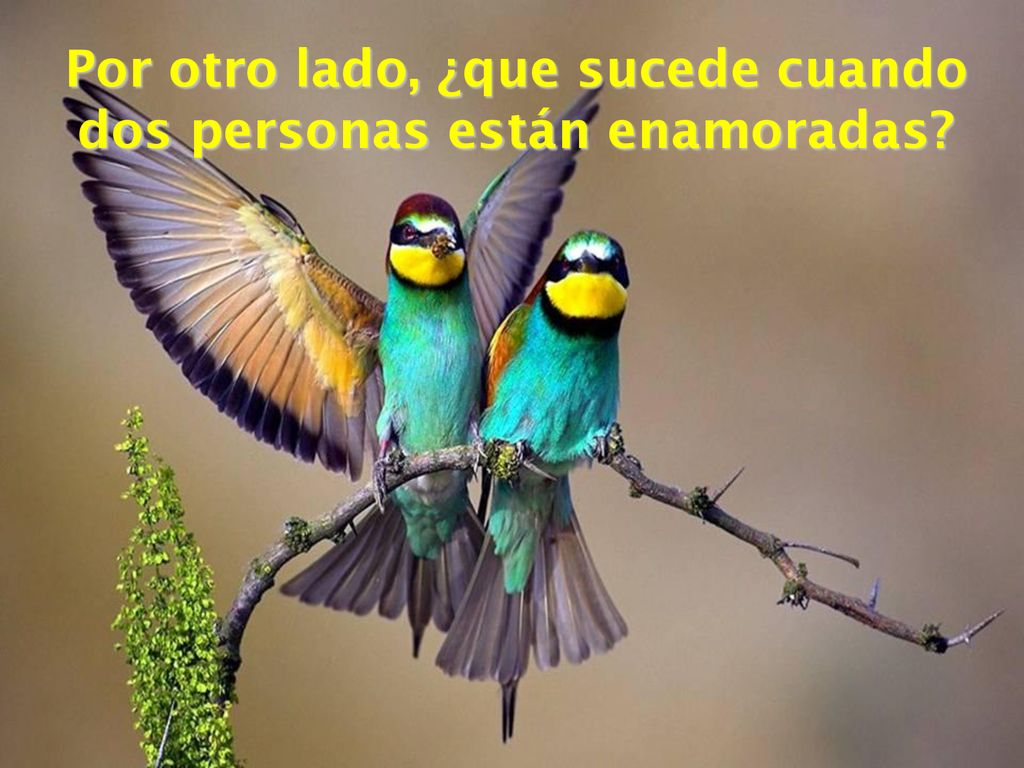Por otro lado, ¿que sucede cuando dos personas están enamoradas