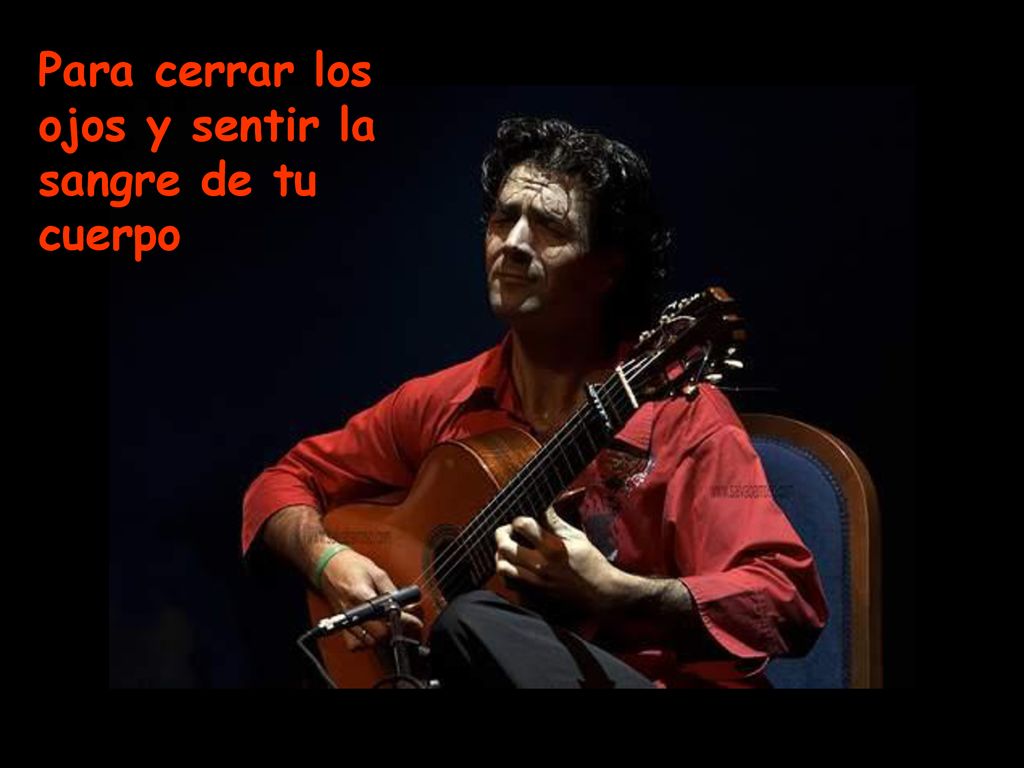 Para cerrar los ojos y sentir la sangre de tu cuerpo
