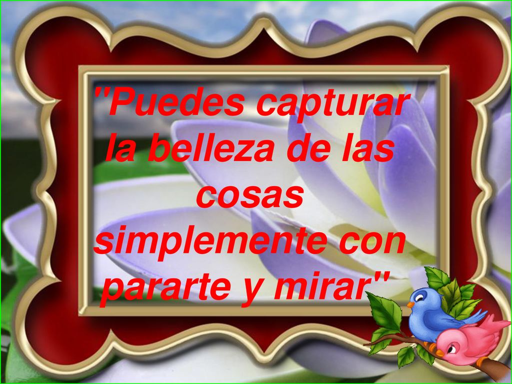 Puedes capturar la belleza de las cosas simplemente con pararte y mirar