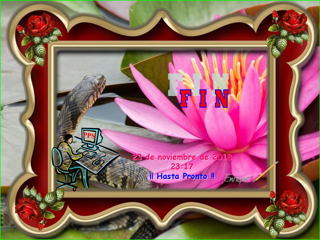 F I N PPS 23 de noviembre de :17 ¡¡ Hasta Pronto !!