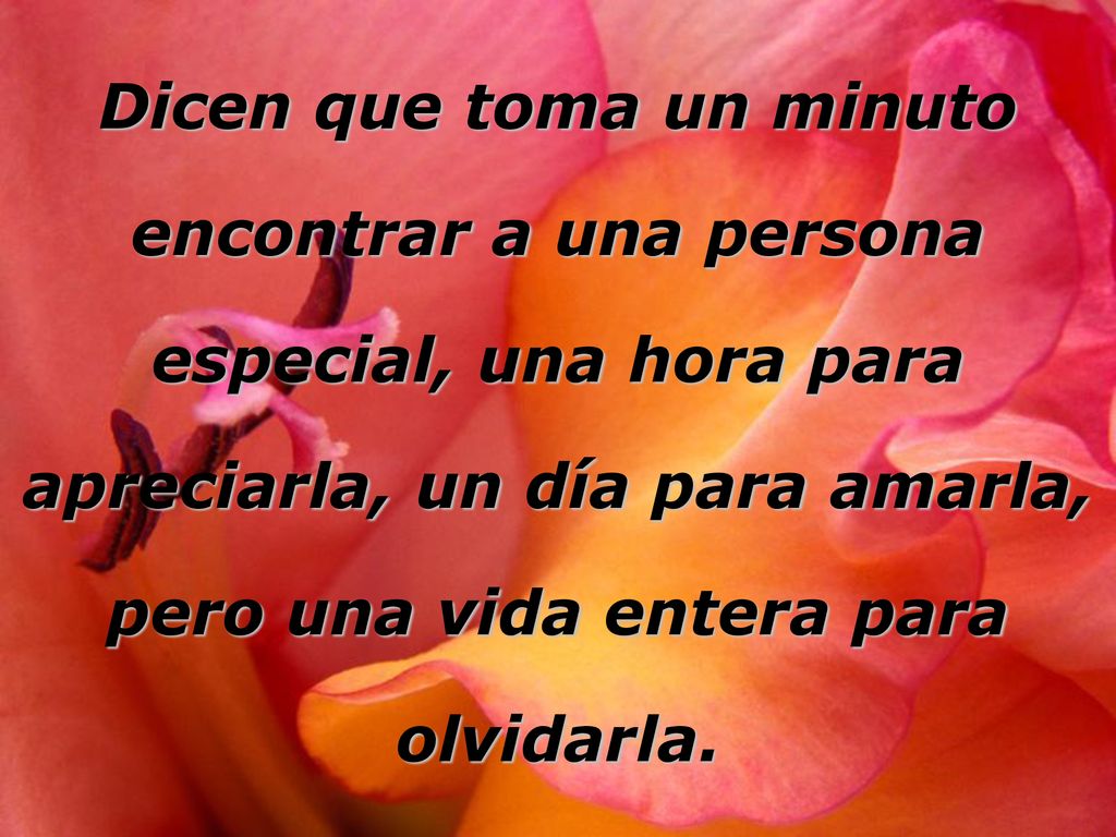 Dicen que toma un minuto encontrar a una persona especial, una hora para apreciarla, un día para amarla, pero una vida entera para olvidarla.