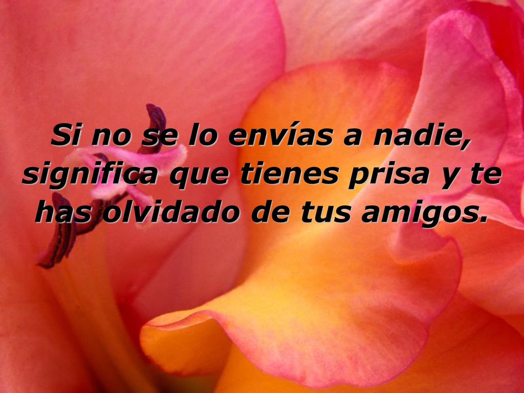 Si no se lo envías a nadie, significa que tienes prisa y te has olvidado de tus amigos.