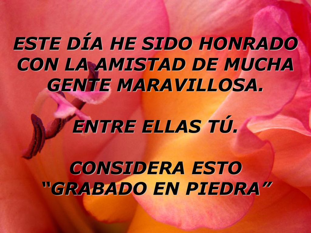 ESTE DÍA HE SIDO HONRADO CON LA AMISTAD DE MUCHA GENTE MARAVILLOSA.