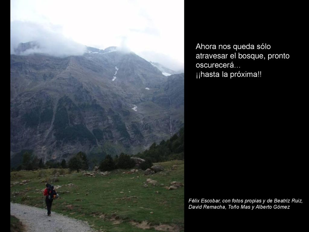 Ahora nos queda sólo atravesar el bosque, pronto oscurecerá…