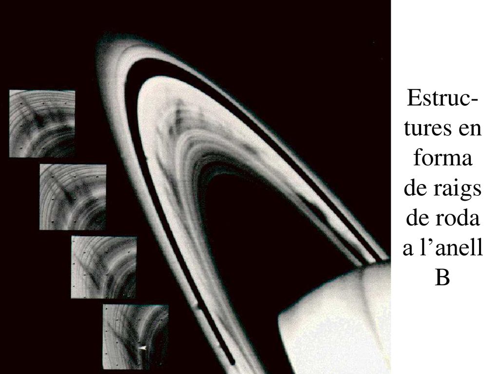 Estruc-tures en forma de raigs de roda a l’anell B