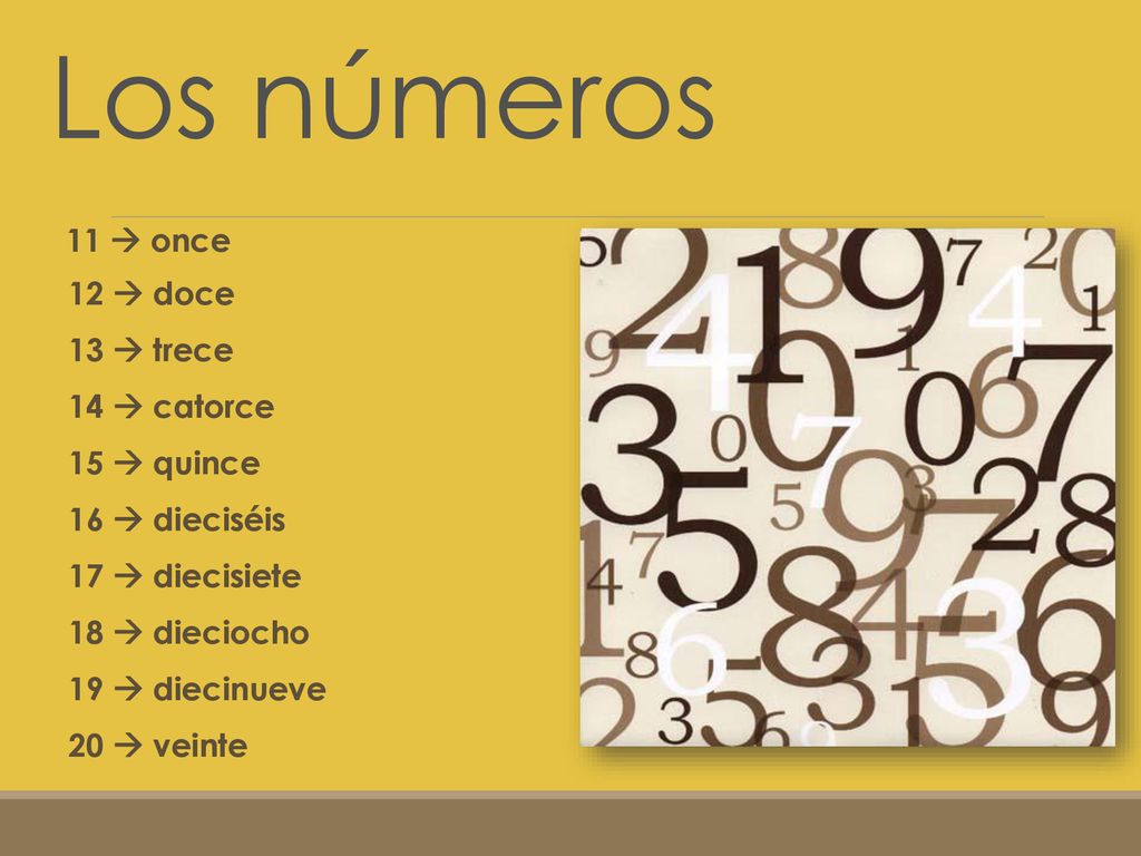 Los números 11  once 12  doce 13  trece 14  catorce 15  quince