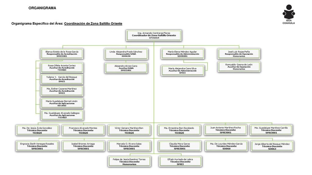ORGANIGRAMA Organigrama Específico del Área: Coordinación de Zona Saltillo Oriente