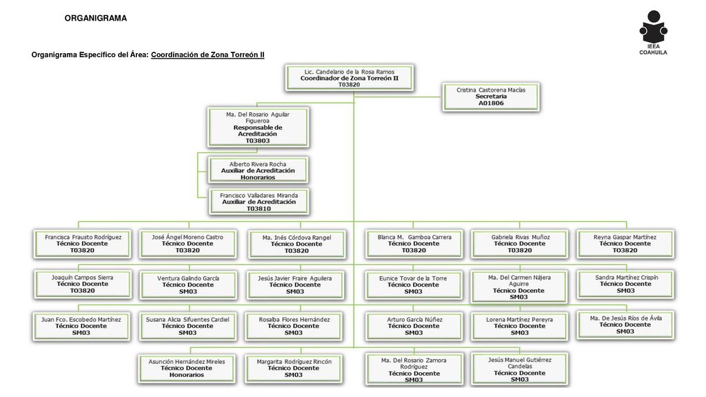 ORGANIGRAMA Organigrama Específico del Área: Coordinación de Zona Torreón II