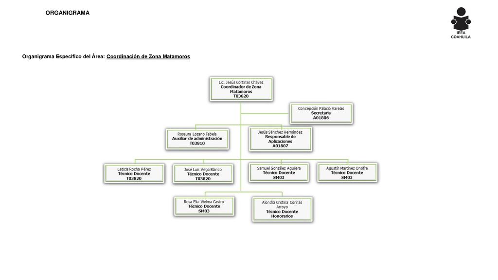 ORGANIGRAMA Organigrama Específico del Área: Coordinación de Zona Matamoros