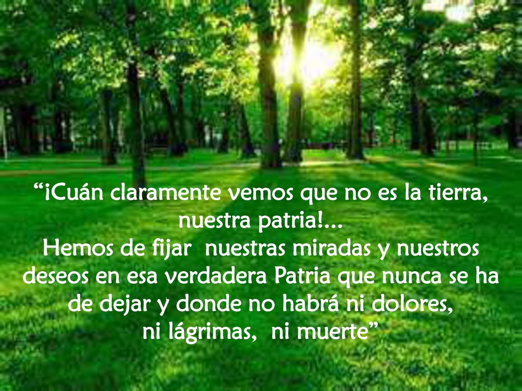 ¡Cuán claramente vemos que no es la tierra, nuestra patria!...
