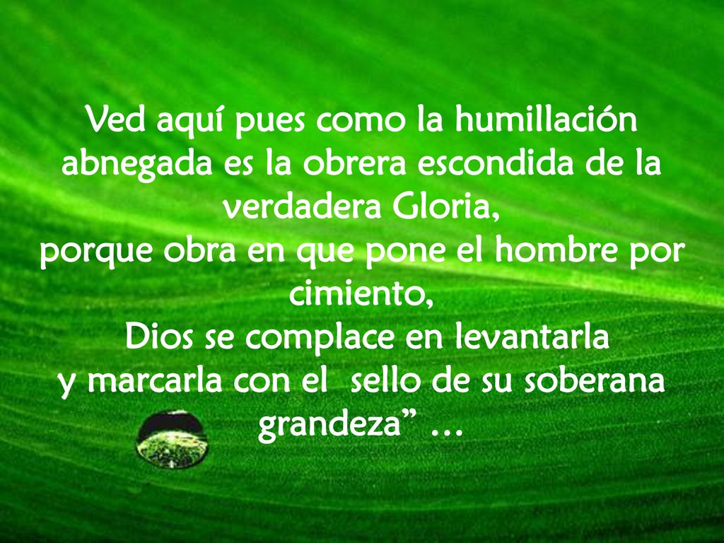porque obra en que pone el hombre por cimiento,