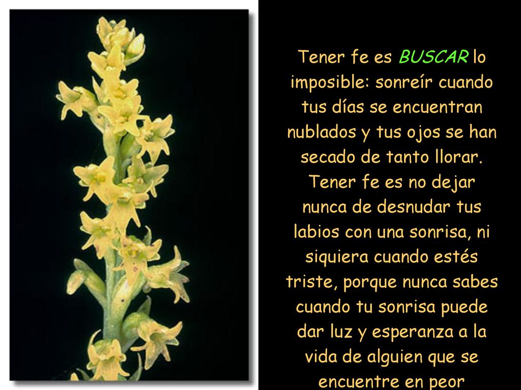 Tener fe es BUSCAR lo imposible: sonreír cuando tus días se encuentran nublados y tus ojos se han secado de tanto llorar.