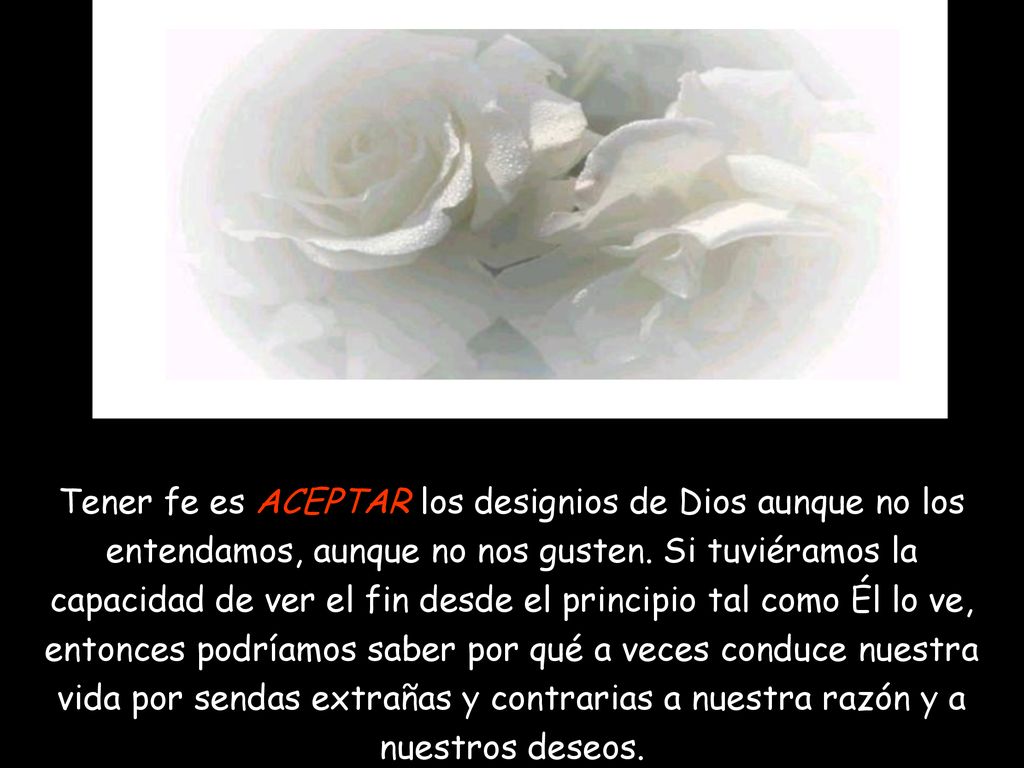 Tener fe es ACEPTAR los designios de Dios aunque no los entendamos, aunque no nos gusten.