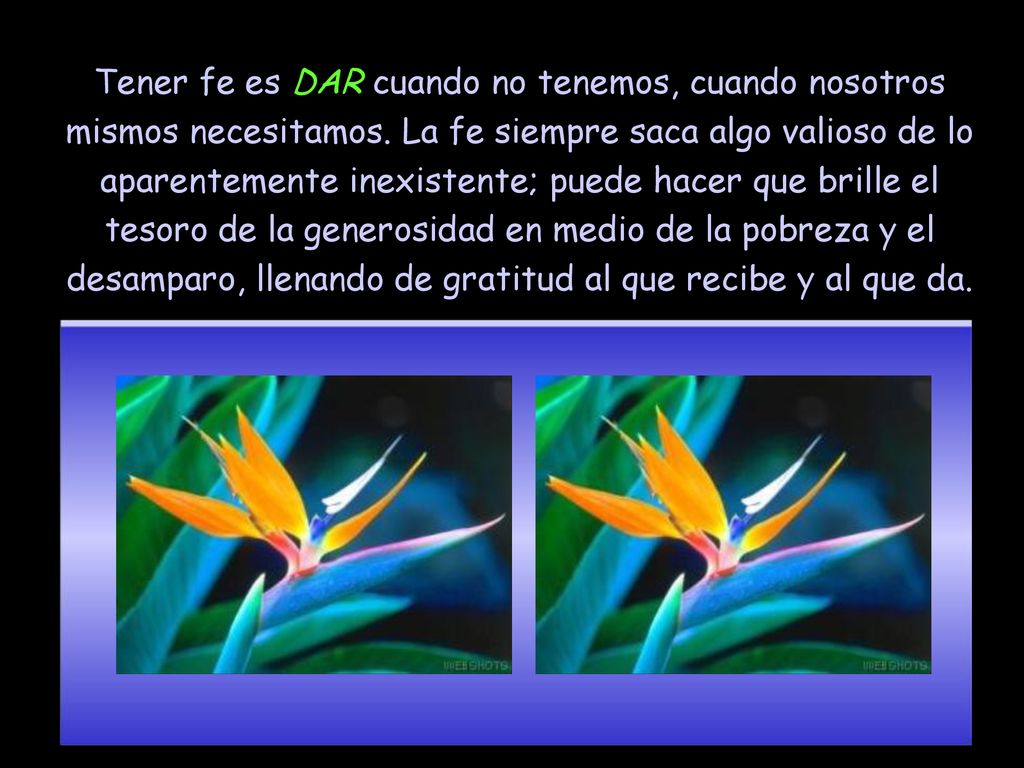 Tener fe es DAR cuando no tenemos, cuando nosotros mismos necesitamos