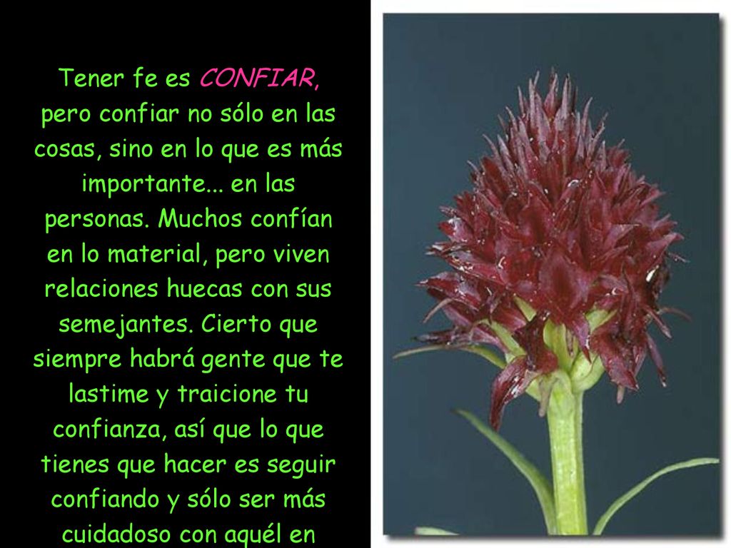 Tener fe es CONFIAR, pero confiar no sólo en las cosas, sino en lo que es más importante...