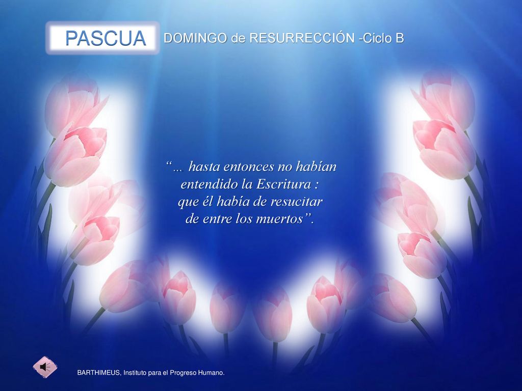 PASCUA … hasta entonces no habían entendido la Escritura :