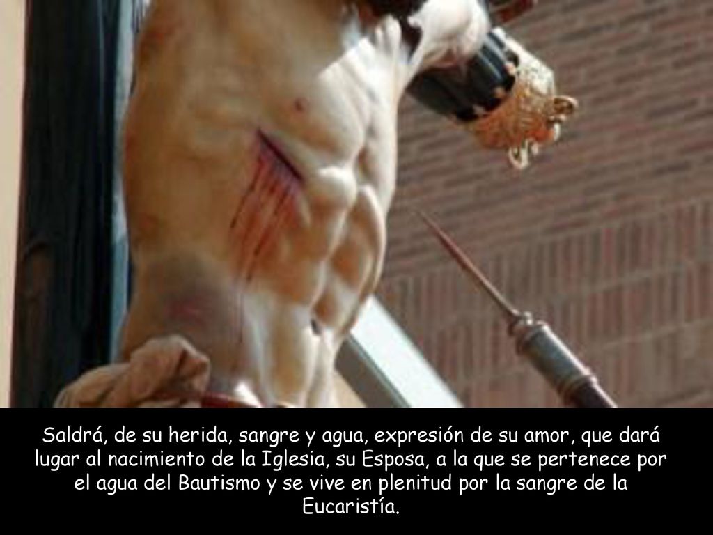 Saldrá, de su herida, sangre y agua, expresión de su amor, que dará lugar al nacimiento de la Iglesia, su Esposa, a la que se pertenece por el agua del Bautismo y se vive en plenitud por la sangre de la Eucaristía.