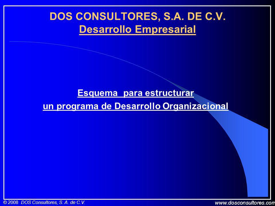 DOS CONSULTORES, S.A. DE C.V. Desarrollo Empresarial