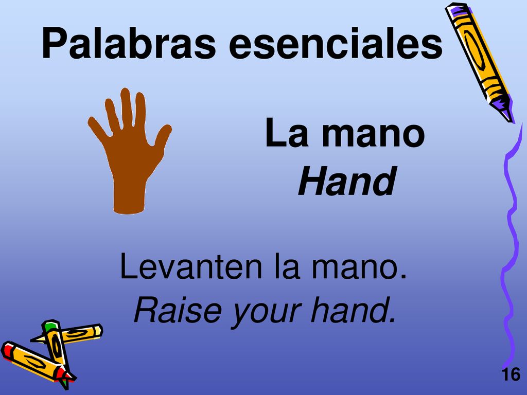 Palabras esenciales La mano Hand Levanten la mano. Raise your hand.