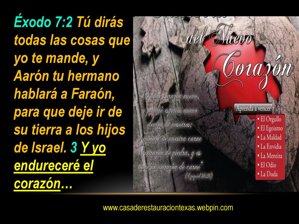 Éxodo 7:2 Tú dirás todas las cosas que yo te mande, y Aarón tu hermano hablará a Faraón, para que deje ir de su tierra a los hijos de Israel. 3 Y yo endureceré el corazón…