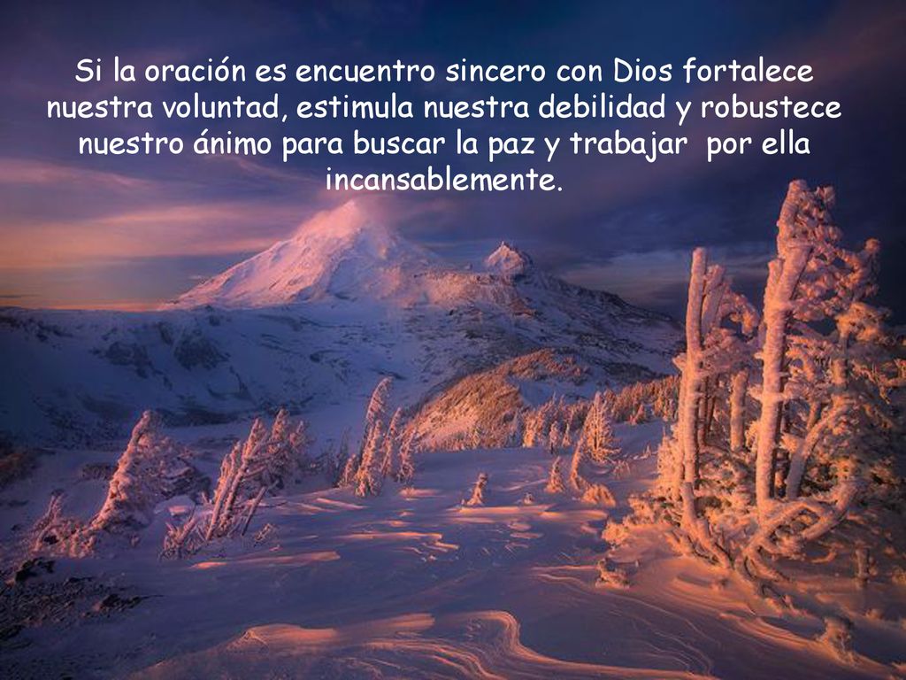 Si la oración es encuentro sincero con Dios fortalece nuestra voluntad, estimula nuestra debilidad y robustece nuestro ánimo para buscar la paz y trabajar por ella incansablemente.