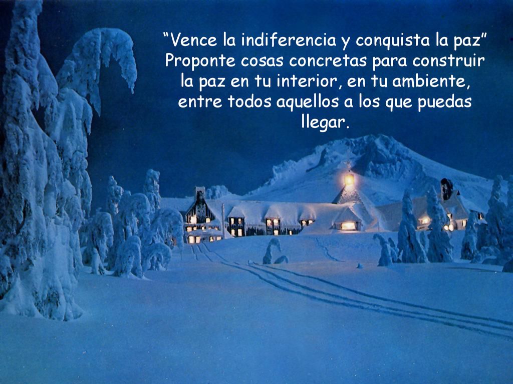 Vence la indiferencia y conquista la paz Proponte cosas concretas para construir la paz en tu interior, en tu ambiente, entre todos aquellos a los que puedas llegar.