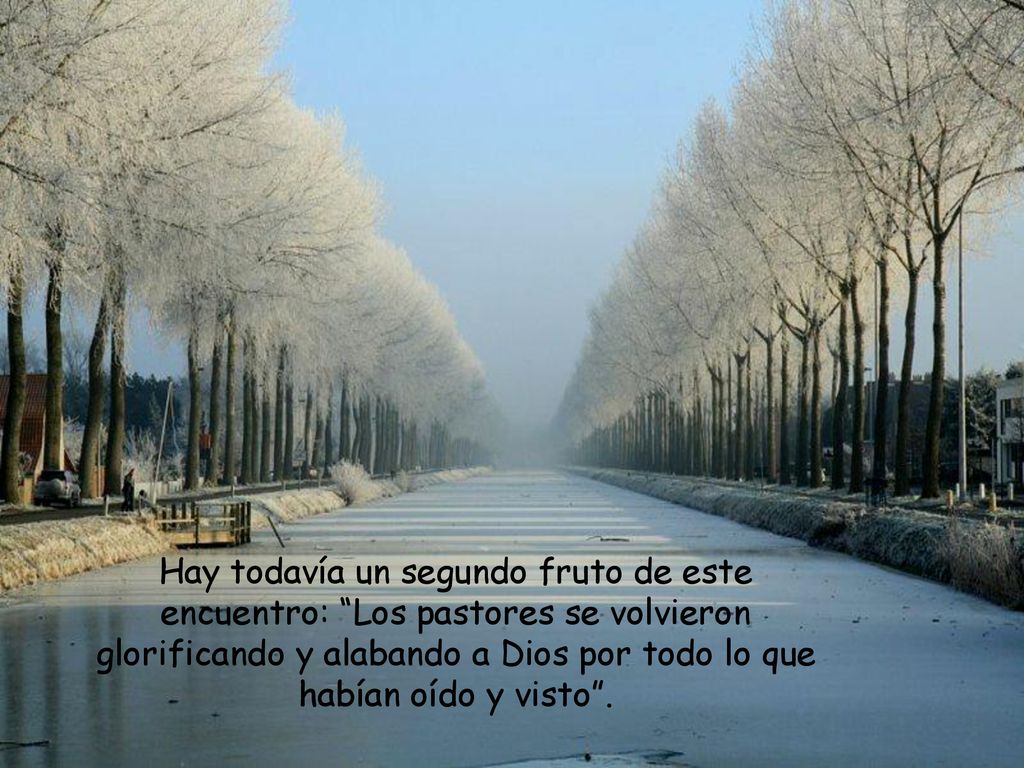 Hay todavía un segundo fruto de este encuentro: Los pastores se volvieron glorificando y alabando a Dios por todo lo que habían oído y visto .